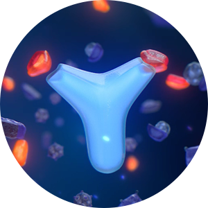 Il23 SKYRIZI Protein