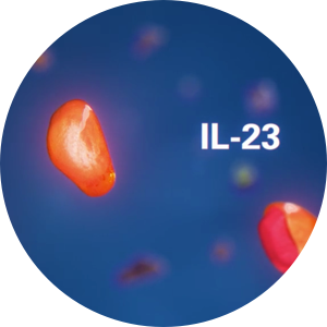 Il23 Protein Imbalance SKYRIZI